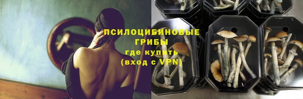 мет Балахна