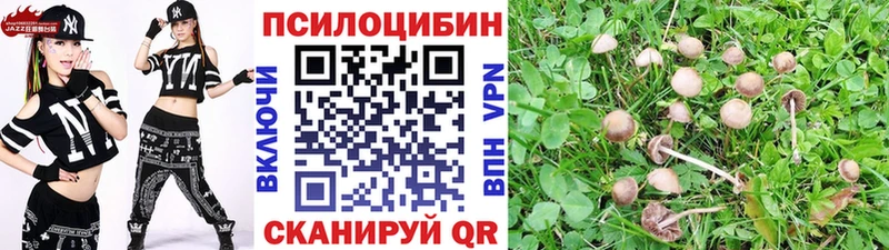 Псилоцибиновые грибы Cubensis hydra вход Видное