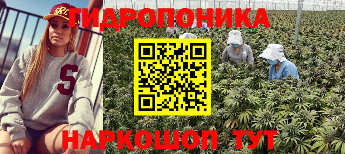 Бошки марихуана SATIVA & INDICA  Конопля White Widow  Видное  Вход с VPN 