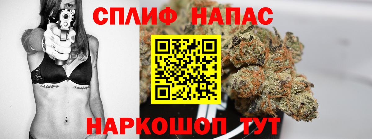 Каннабис индика Видное